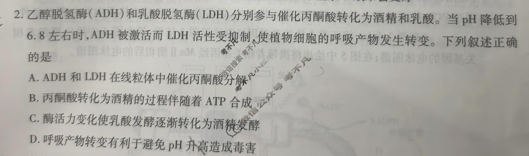 [上进联考]2026年高三年级5月高考适应性检测生物试题
