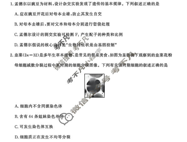 [青桐鸣]普通高中2025-2026学年(下)高一年级5月联考生物(C卷)试题