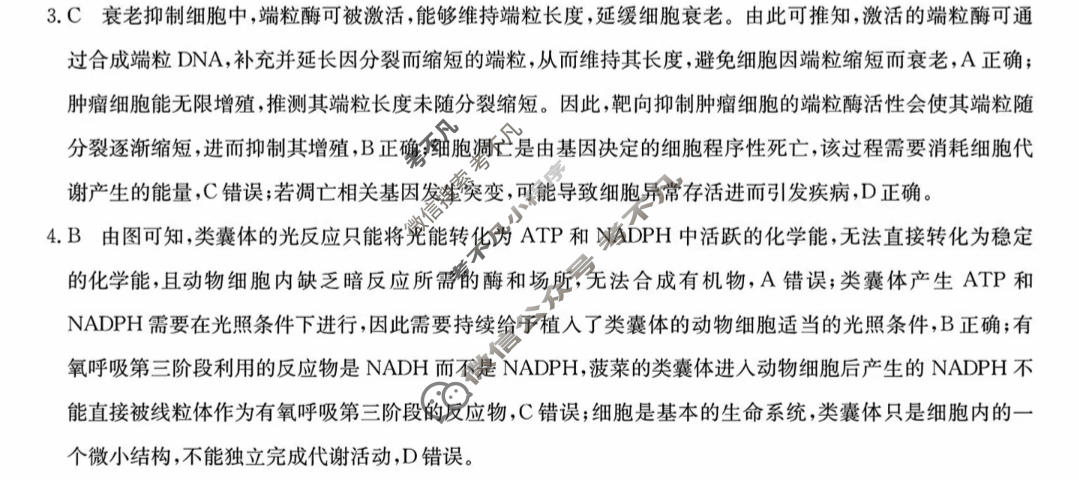 [省十教育]2026届高三最后一卷生物答案
