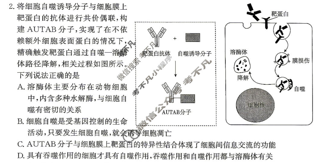 [名校大联考]2026届·普通高中名校联考信息卷(压轴二)生物试题