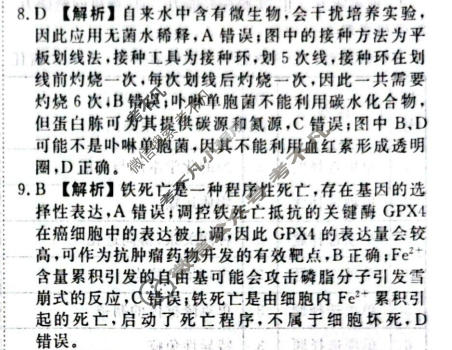2026年衡水金卷先享题·高考压轴冲刺(一)1生物(Y)答案