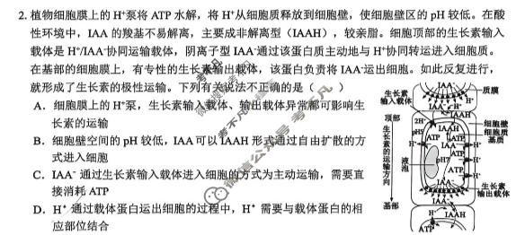 安徽师范大学附属中学2026届高三考前适应性检测(5月)生物试题