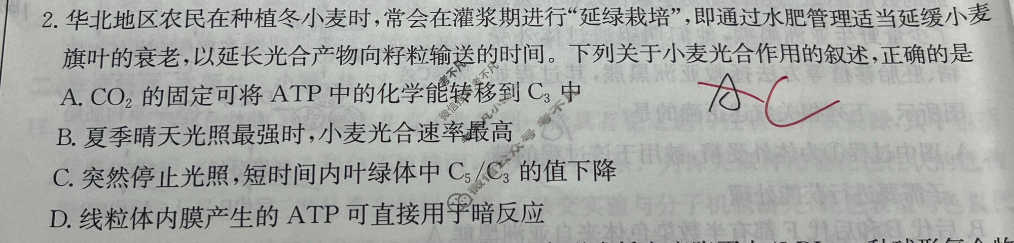 [天一大联考]陕西省2025-2026学年高三5月联考(SHAX202605)生物试题