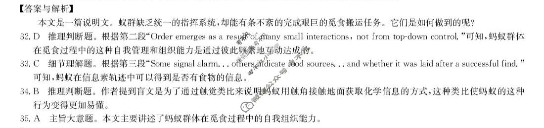 [九师联盟]2026届5月高三联考(5/2)(角标含G)英语X-G答案