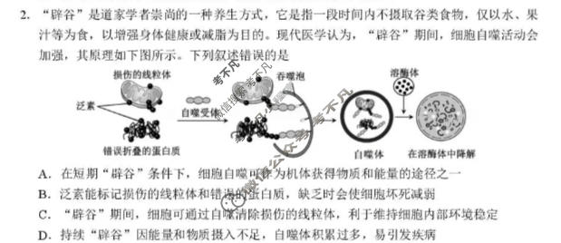 四川省宜宾市普通高中2023级第三次诊断性测试生物试题