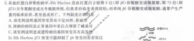 [九师联盟]2026届5月高三联考(5/2)(角标含G)生物LY-G试题