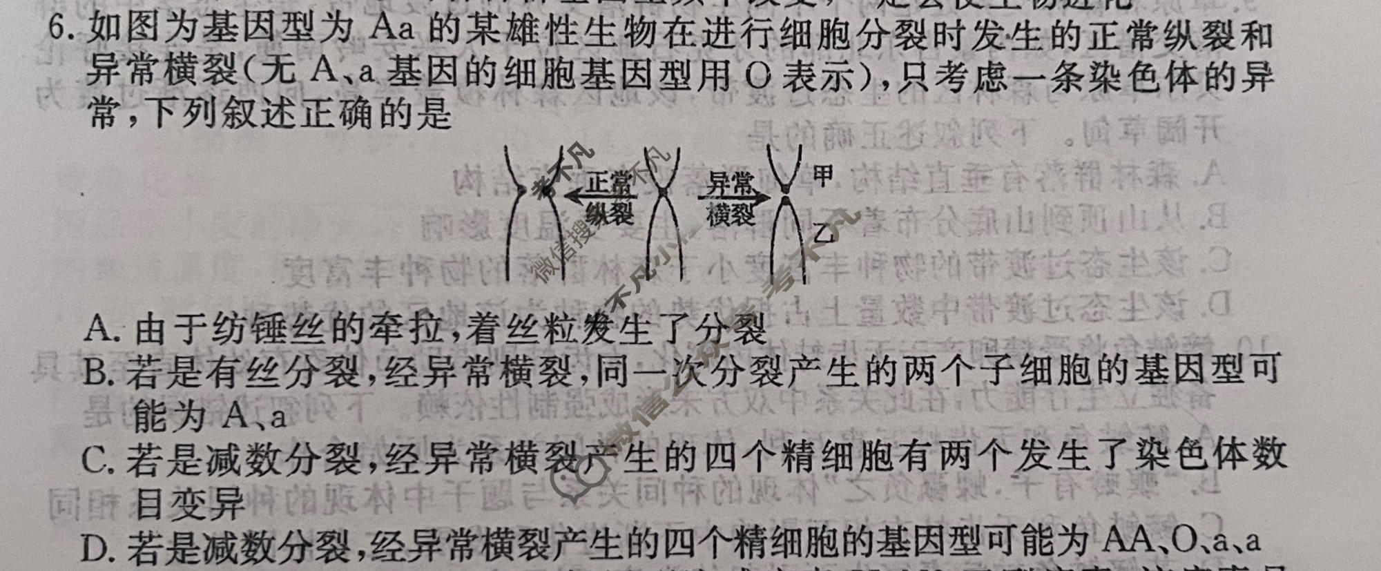 2026年衡水金卷先享题·高考压轴冲刺(二)2生物(S)试题