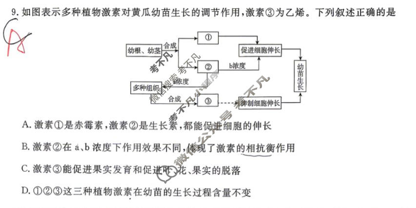 高三2026年普通高中学业水平选择性考试·冲刺预测卷(一)1生物XGK-E试题
