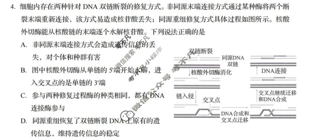 青岛市2026年高三年级第三次适应性检测(5月)生物试题
