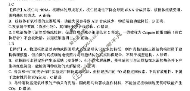 山东省实验中学2026届高考考前模拟测试(5月)生物答案
