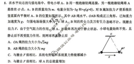山东省实验中学2026届高考考前模拟测试(5月)物理试题