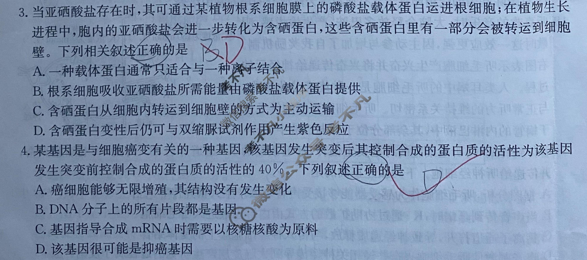 2026年普通高中学业水平选择性考试100所名校高考冲刺卷·生物(一)1[26·(新高考)CCJ·生物·HJLM]试题