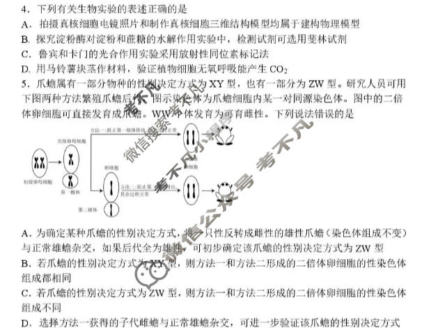 山东省实验中学2026届高考考前模拟测试(5月)生物试题