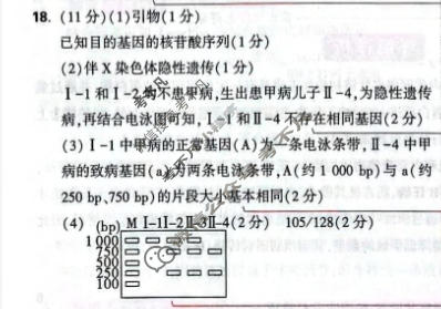 [黑白卷]2026年普通高等学校招生全国统一考试(白卷)生物(新高考)答案