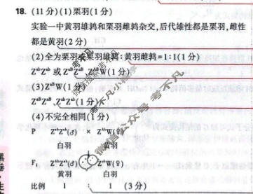 [黑白卷]2026年普通高等学校招生全国统一考试(黑卷)生物(新高考)答案