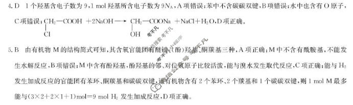 [洛阳强基联盟]2025-2026学年高二6月检测化学答案