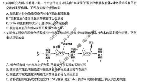 [洛阳强基联盟]2025-2026学年高二6月检测生物试题