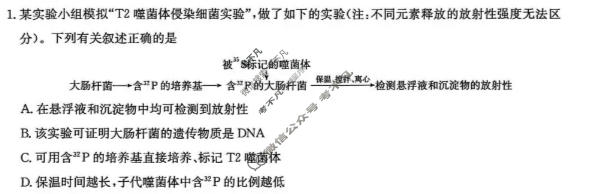 [洛阳强基联盟]2025-2026学年高一6月检测生物试题