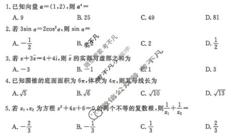[点石联考]2026届高一年级6月练习卷数学试题