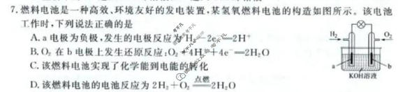 河南省新未来2025-2026学年高一年级测评(6月)化学试题