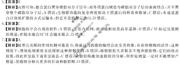 河南省新未来2025-2026学年高二年级测评(6月)生物答案