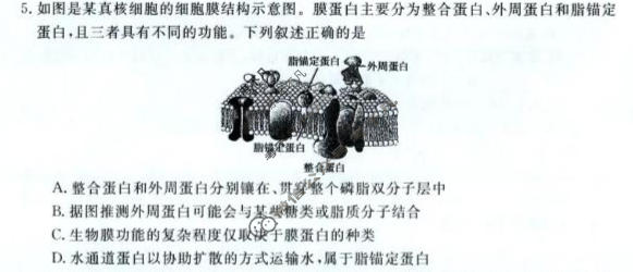 河南省新未来2025-2026学年高二年级测评(6月)生物试题