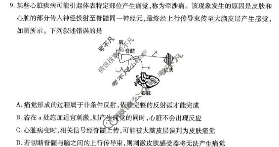 [天一大联考]河南省2025-2026学年高二6月联考(HN202606)生物试题