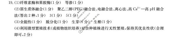 河北省金太阳2025-2026学年高二7月联考(7.2)生物答案