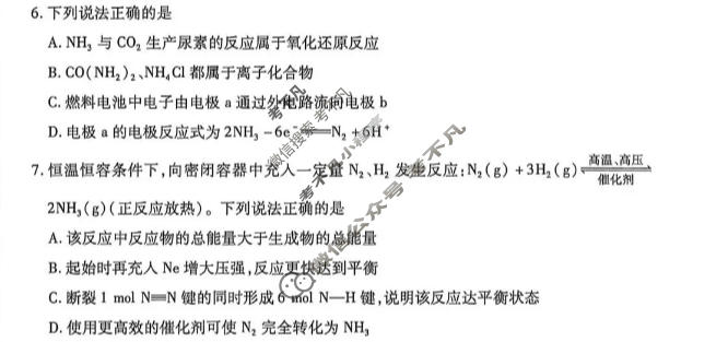 [天一大联考]安徽省2025-2026学年高一7月联考化学试题