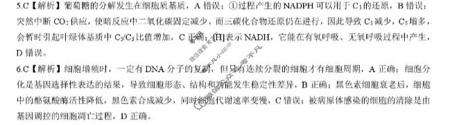 [NT20名校联合体]2025-2026学年7月新高三摸底测试生物答案