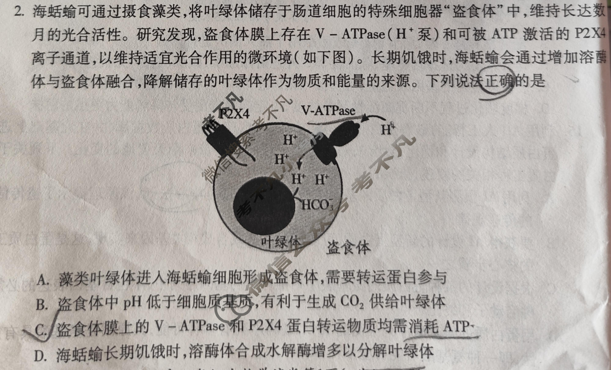 安徽省2027届高三调研性监测(8月)生物试题