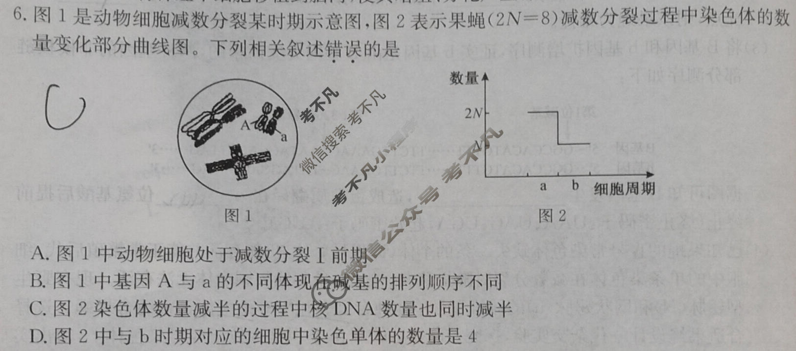 陕西省金太阳2027届高三第一次开学摸底考试(27-L-008C)生物试题