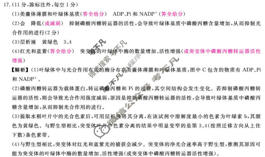福建省2026-2027学年上学期9月高三联考(FJ)生物答案