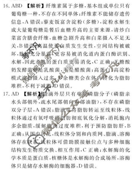[点石联考]2027届高三期初学情调研生物答案