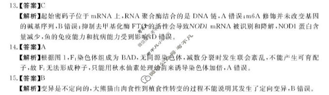 河南省新未来2026-2027学年高二年级测评(9月)生物答案