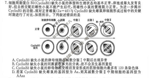 河南省新未来2026-2027学年高二年级测评(9月)生物试题
