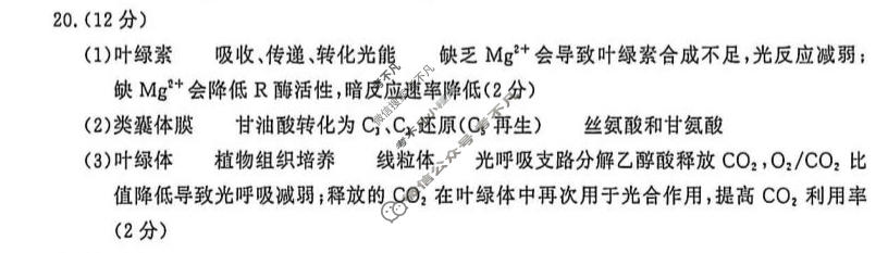 南京市2027届高三年级学情调研(9月)生物答案