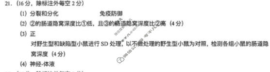 武汉市2027届高中毕业生九月调研考试(9.16)生物答案