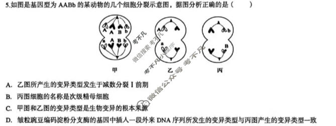 长治市2026-2027学年度高三年级九月份学情调研生物试题