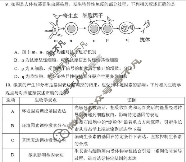 昆明市第三中学高2027届高三上学期9月月考生物试题