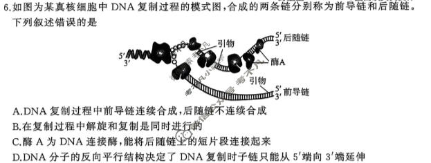 [百师联盟]河北省2026-2027学年高三9月联考生物试题