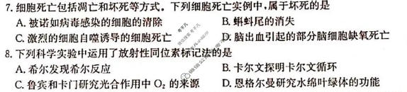 陕西省金太阳2026-2027学年高三上学期9月联考(❀)生物试题