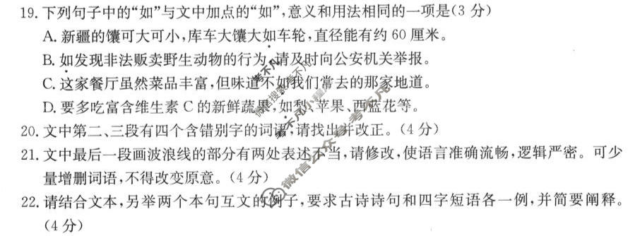 陕西省金太阳2026-2027学年高三上学期9月联考(❀)语文试题