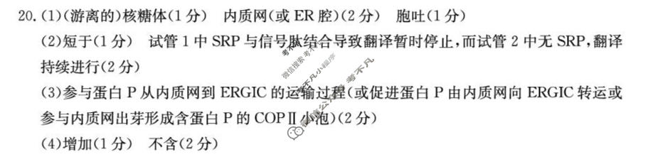 河北省金太阳2026-2027学年上学期高三年级测评(10.8)生物答案