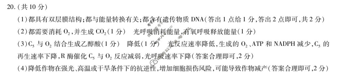 [天一大联考]2026年高三年级10月联考(★★★202610)生物答案