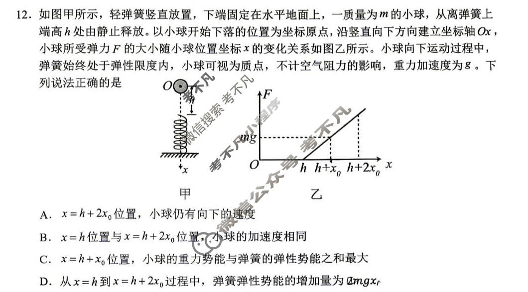 山东省实验中学2027届高三第一次诊断性考试(10月)物理试题