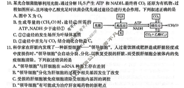 河北省金太阳2026-2027学年上学期高三年级测评(10.8)生物试题