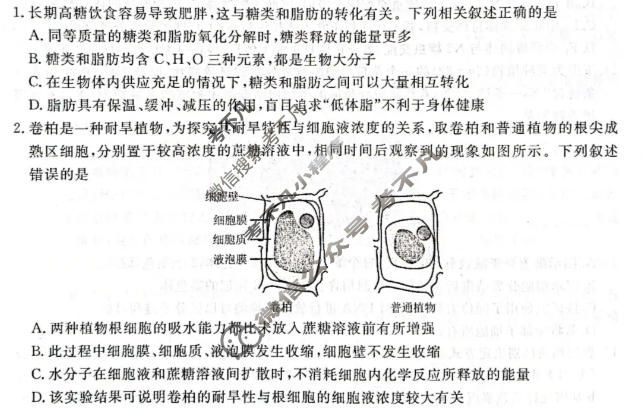 河南省2026-2027学年高三10月联考(HN)生物试题