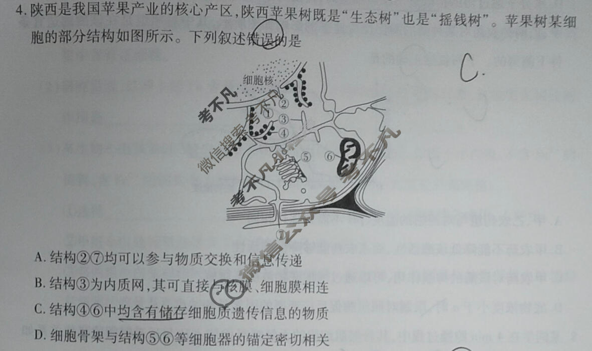 [天一大联考]2026年高三年级10月联考(★★★202610)生物试题