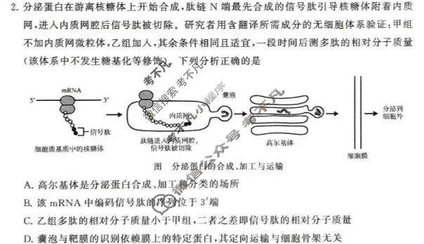 [T8联考]河南省2027届高三年级10月检测训练生物试题